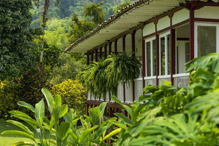 Foto: iStock
