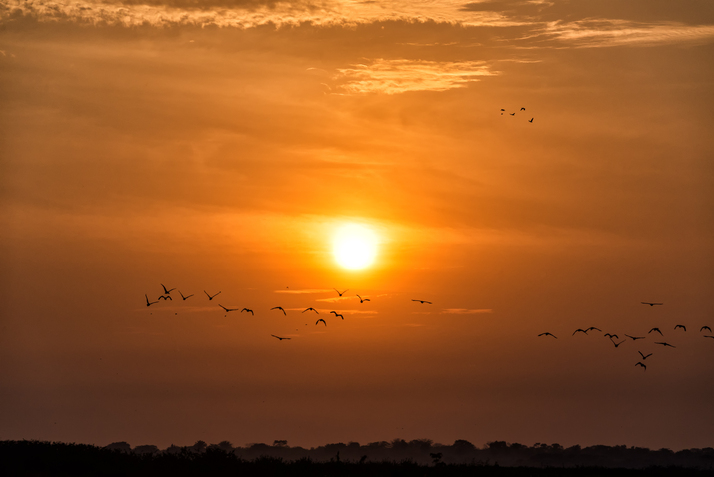 Foto: iStock