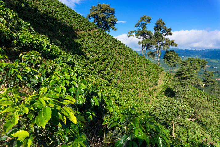 Foto: iStock